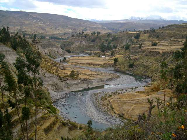 18 días en el Perú - Blogs de Peru - Arequipa y Valle del Colca (11)